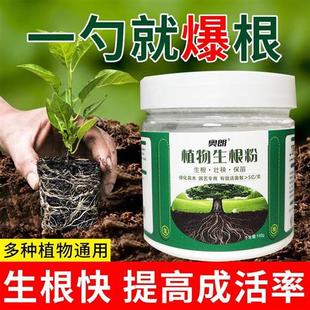 强力生根粉植物通用快速生根v液壮苗剂营养液水培绿植扦插移栽肥