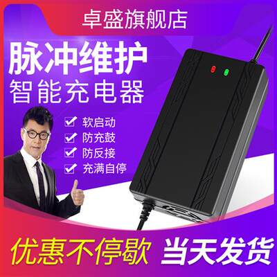 速发原装速派奇电动车电瓶自动断电充电器48V12Ah20Ah30Ah60v72v2