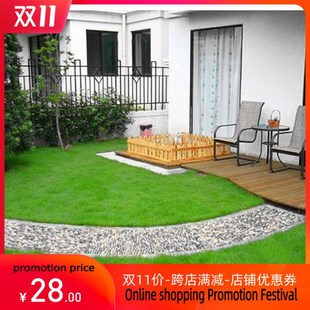 seed Festuca Grass Seed Fescue arundinac 网红grass bot Tall