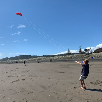 极速free shipping 2.5m dual Line Stunt power Kite soft kite