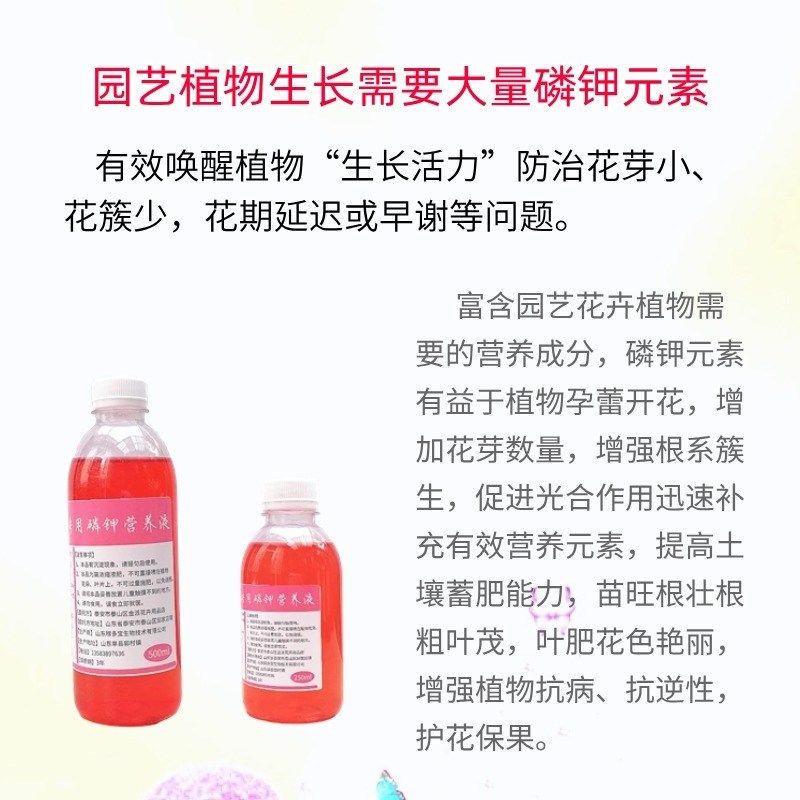 北美冬青专用磷钾营养液室内盆栽植物水培鲜枝条年霄花液体养花肥,鲜花速递/花卉仿真/绿植园艺,家庭园艺肥料,淘宝优惠券,粉丝福利购,淘宝优惠卷