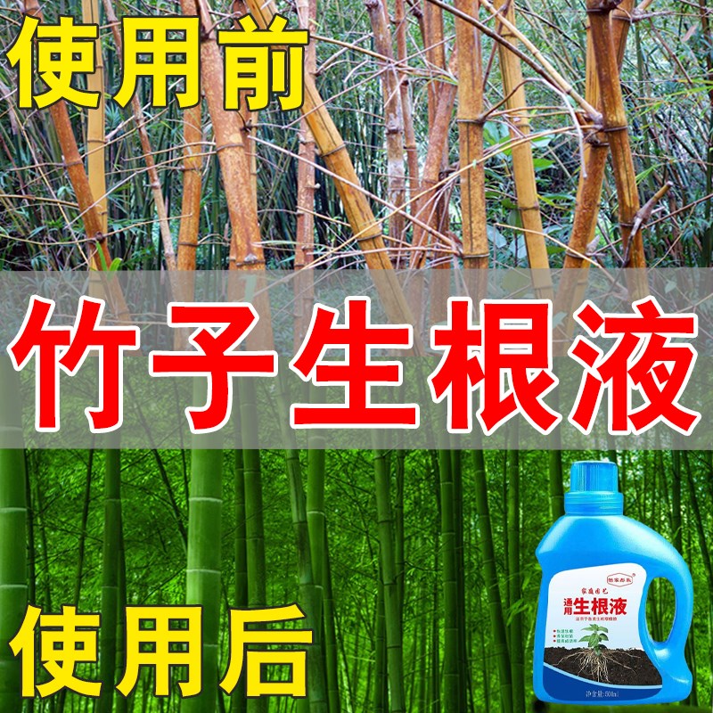 竹子快速强力生根营养液生根壮苗改善黄叶烂根黄竹成活快速复活剂