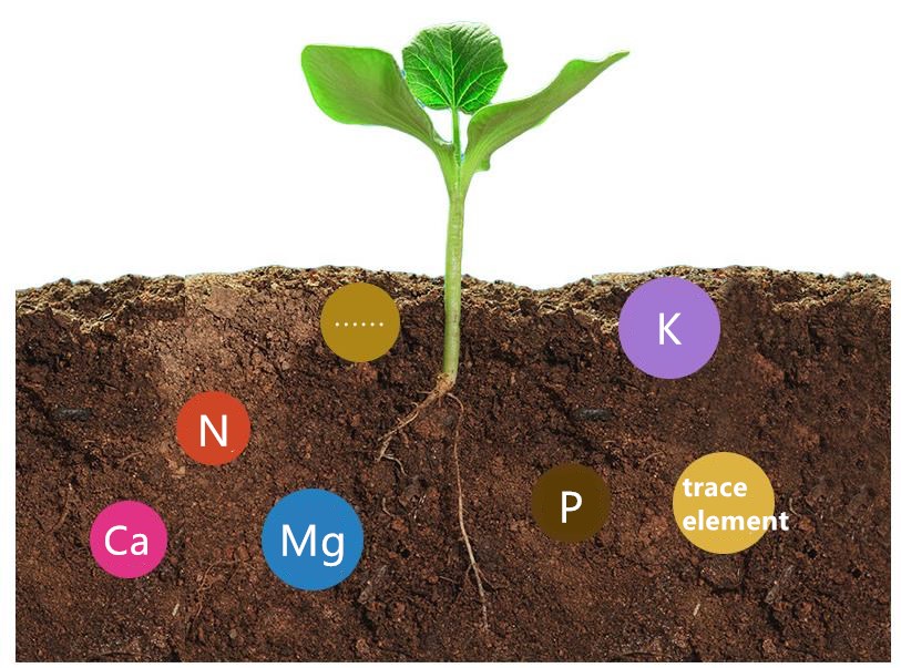 130g niversal pot flower green plant Nutrition fertilizer bo