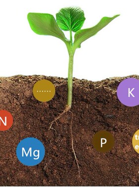 130g niversal pot flower green plant Nutrition fertilizer bo
