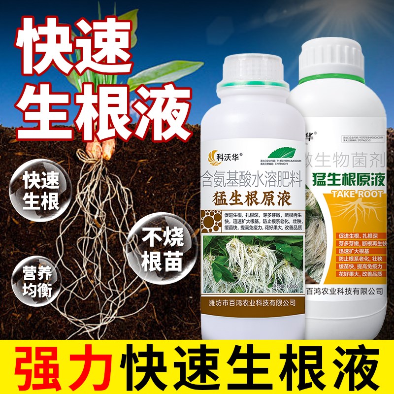 植物扦插生根剂玫瑰月季扦插生根液移栽种植生根粉壮苗植物活力素