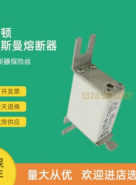 全新快速熔断器保险170M1409 170M1410 170M1411 170M1412