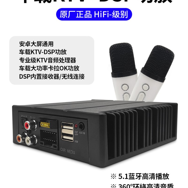 通用汽车DSP攻放车载无线t麦克风12V/24V功放双话筒全民K歌KTV