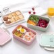 Wheat Lunch Portable Microwave Box Picnic Food Straw Bento