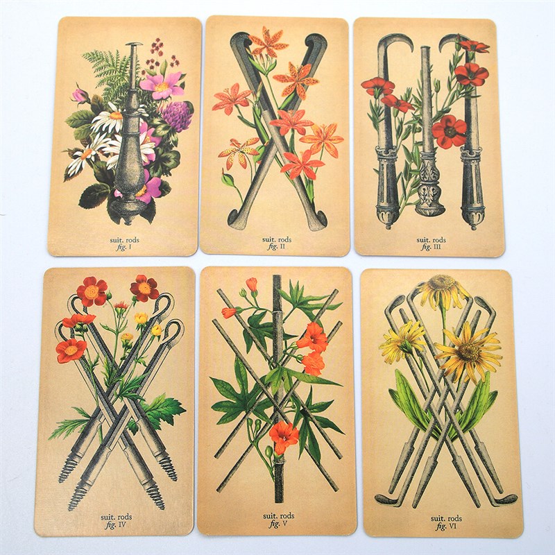 极速The Antique Anatomy Tarot  Cards Deck English Version