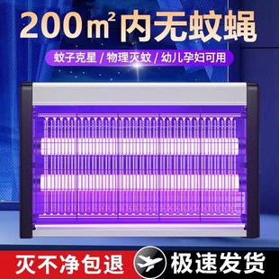 物理餐厅农业紫220v一扫光灭蚊灯阳台店 家用灭蚊灯商用挂墙式