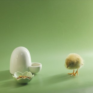 仓鼠陶瓷水壶饮水器金丝熊喝水壶樽小鸡喂食器食槽食盆.喂水器用