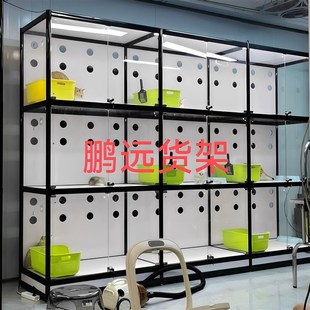 宠物店货架猫柜玻璃透明展示柜猫咪寄养柜猫屋繁育柜猫咪玻璃展柜
