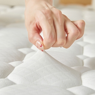 椰棕床垫偏硬一米二五八乘两米一米九1.2x1.5x1.9*1.8x2x2.2粽垫