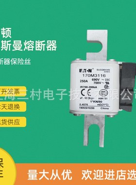 全新原装快速熔断器保险丝170M3116 170M3117 170M3118 170M3119