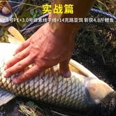 主线子线原丝路亚大物耐磨10号8号防缠绕黑色前导线专用正品 鱼线