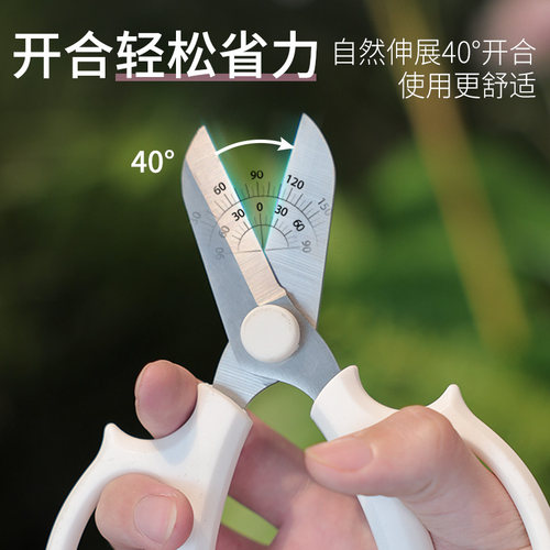 园艺剪插花专用剪刀修枝剪花艺剪剪树枝果树剪刀枝剪修剪花卉剪子