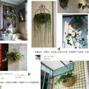 装 绿萝挂壁墙上花篮式 饰吊篮绿箩墙壁挂悬挂 销花盘壁挂花盆 吊兰