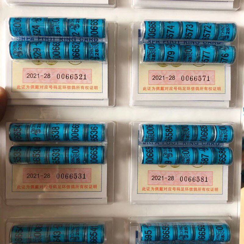 2021年统一带证足环真环普环信鸽足环鸽子脚环信鸽用品赛鸽足环