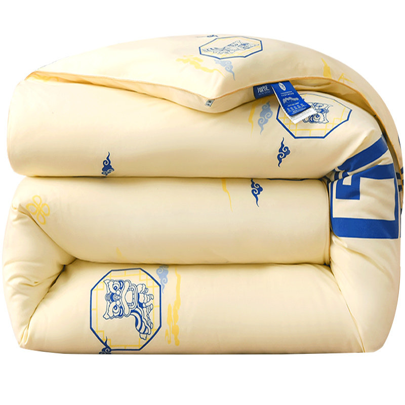 加厚丝棉被子冬被保暖全棉被芯冬季太空被褥秋冬天棉絮春秋被双人,床上用品,化纤被,淘宝优惠券,粉丝福利购,淘宝优惠卷