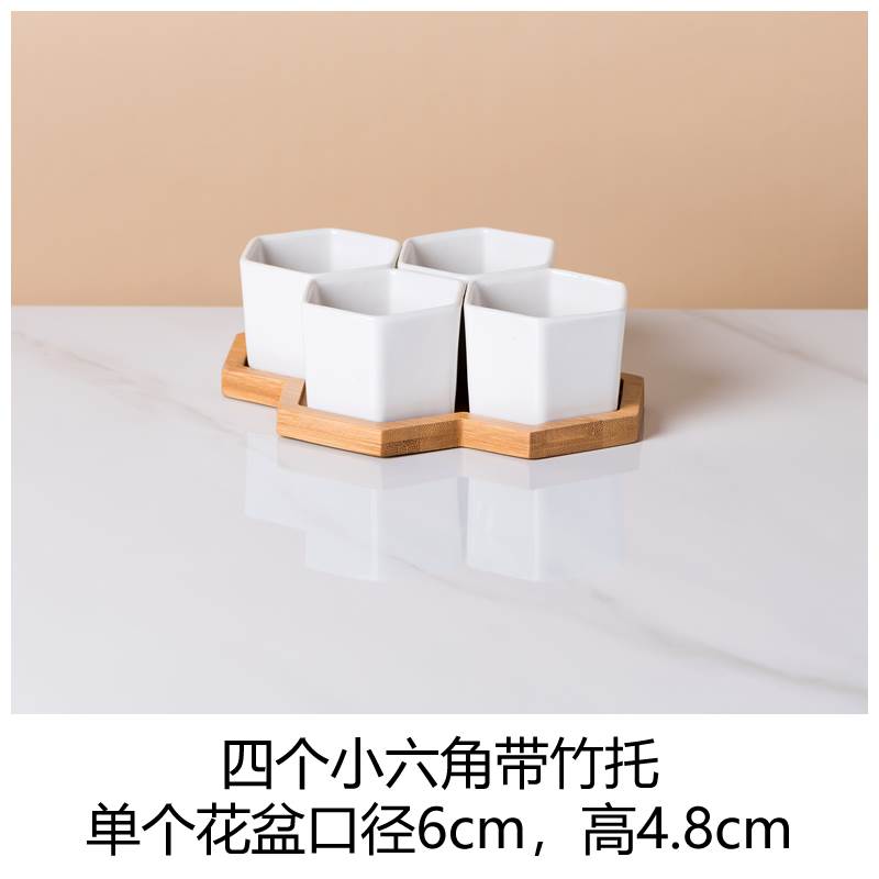 小众高货多肉专用小盆栽花盆白色套装组合带托盘家用创意陶瓷植物