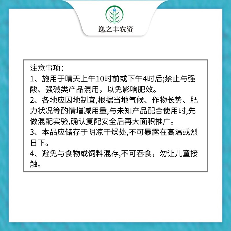 韭菜粗又嫩叶绿厚叶面肥韭菜粗又壮抗倒伏黄叶干尖卷叶根壮植株壮