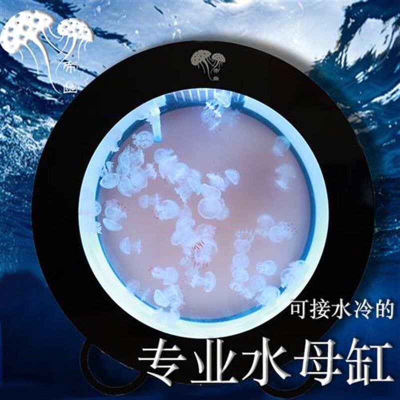 帝幽水母缸小型水母缸水母缸水母养殖缸水母养殖箱水母箱水母