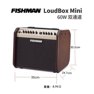 mini Artist原声木吉他音箱 Loudbox 飞琴行Fishman 蓝牙充电音箱