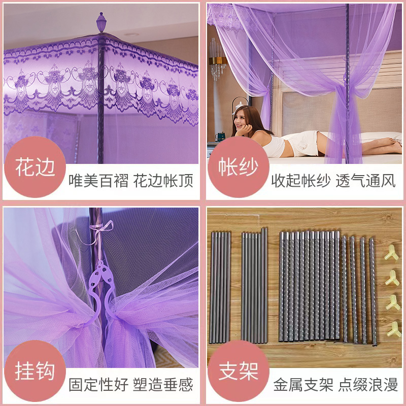 蚊帐家用b2022新款落地蚊帐1.5米支架加厚加密三开门1.8公主风纹