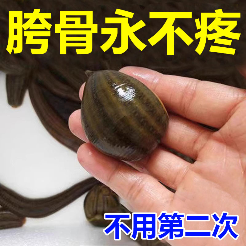 热销999%冶坏死】股骨头髋关节疼痛缺血坏死肿胀疼痛股骨头坏死专