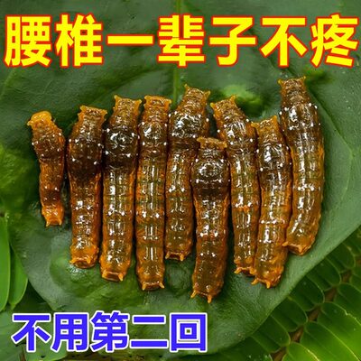 速发腰疼克星【直达根源】腰突腰脱压迫神经腰肌劳损腿麻专用腰椎