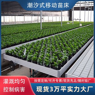 温室连栋大棚潮汐育苗床种植移动苗床网片定制蔬菜暖棚养殖架子