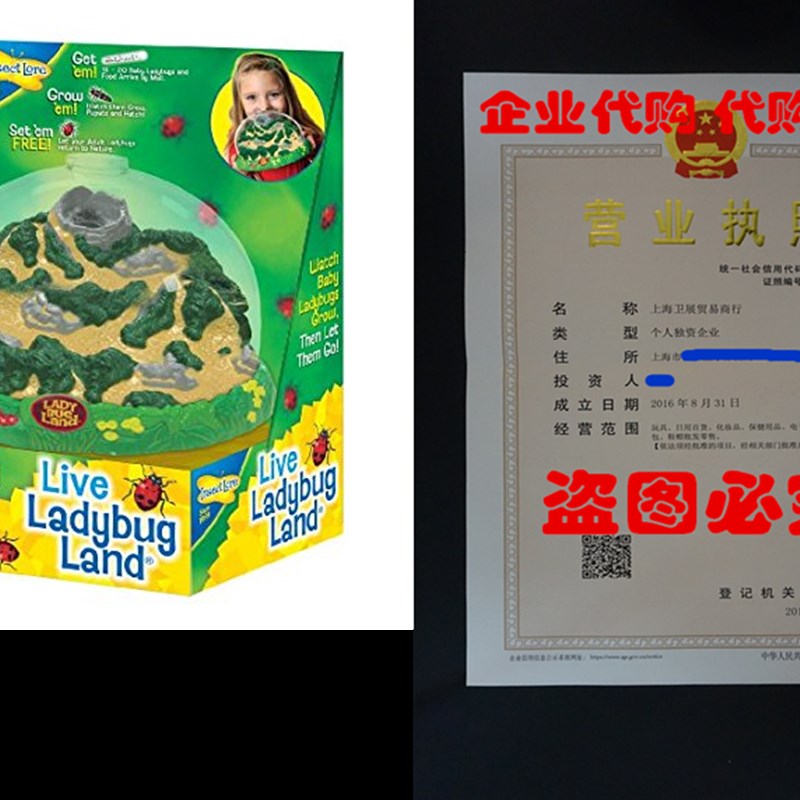 推荐ect Lore Ladybug Growing Kit Toy- Includes Voucher Coup