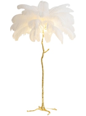 羽毛落地灯全铜台灯现代客厅沙发创意网红轻奢装饰卧室床头羽毛灯