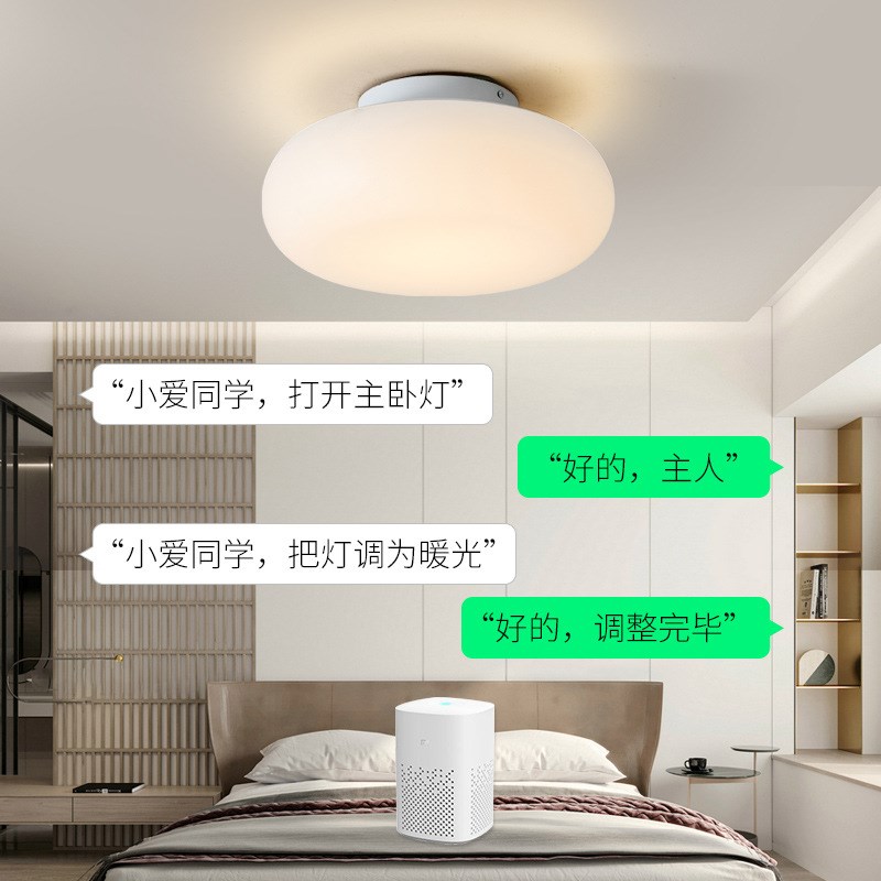 卧室灯北欧网红苹果n吸顶灯现代简约圆形餐厅书房走廊主卧床头吊