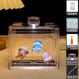 水母活物宠物学生好养的小型动物桌面鱼缸网红懒人赤月水母专用缸