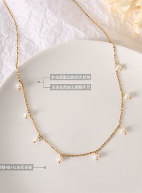 天然小众百搭复古风饰o品钛钢镀18k真金淡水珍珠散珠项链女锁骨链