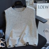 绵羊毛彩点纱宽松圆领针织背心马甲女秋季 虫小小 叠穿小能手 896E