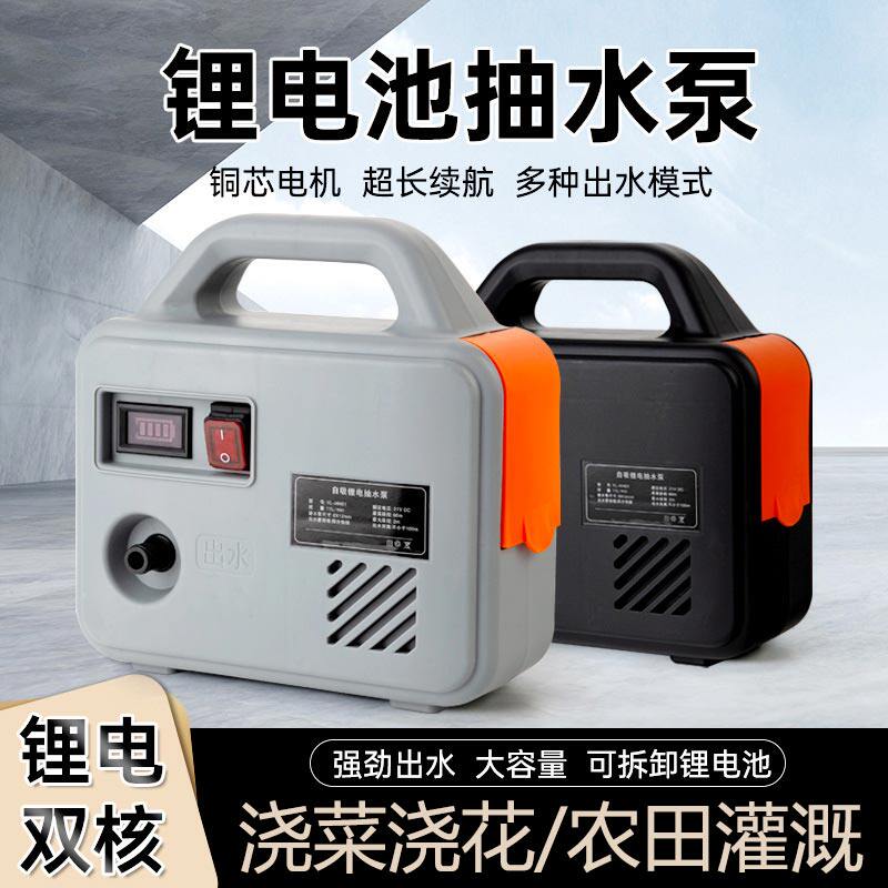 抽水泵家用水井农村菜园灌溉浇花充电式自动户外自吸泵增压小型