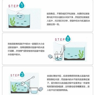 水生小宠物虾苗养殖家养OgU1CGSvv小虾米活河虾水虾活小淡观赏饲