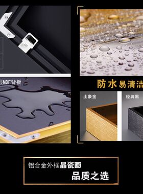 晶瓷画定制沙发背景墙挂画玄关定制餐厅卧室电表箱子照片定制