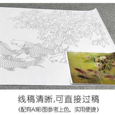 白物画工描底稿实笔勾o线打印稿龚雪青牡丹鱼富贵有余通屏一张XQ6