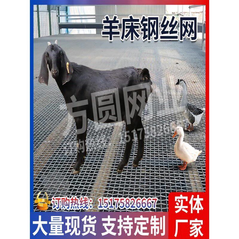 热镀锌轧花网钢丝网m围栏养殖网编织网筛网羊床漏粪网养殖围网加
