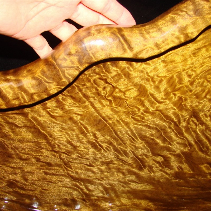 金丝楠木茶盘家用实木托t盘水波纹阴沉木整块原木茶盘四川原产地