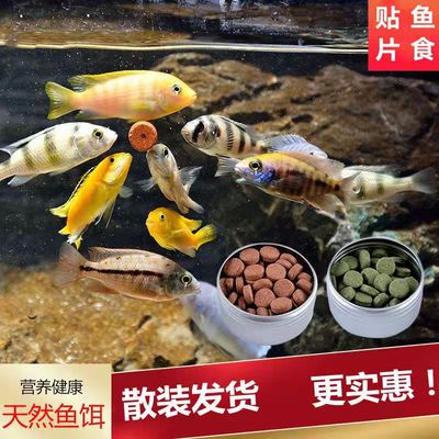 贴片鱼食小型鱼饲料孔雀鱼鱼粮灯鱼斗鱼金鱼热带鱼通用开口丰年虾