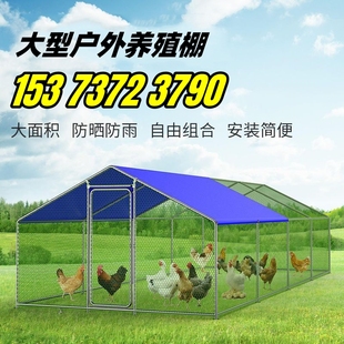 大型养殖鸡棚户外防雨棚鸭棚鸽舍家用散养钢管鸡舍鸡窝家禽鸡笼子