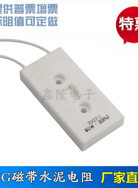 全新 变频器启动电阻 录音带电阻 BKG-CA1005-H06 80W 20RJ 20欧