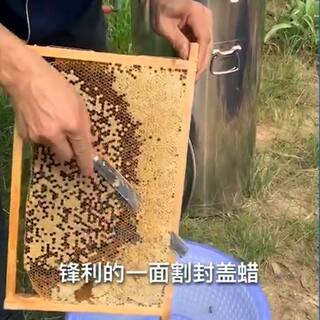 割蜜专用刀进口钢锋利割蜜刀专用蜜蜂工具养蜂箱全套Z字型超薄养