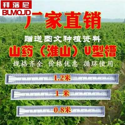 曼际 山药种植引导槽种山药浅生槽淮山槽U型槽定向槽塑料模具加厚