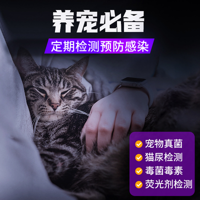 伍德氏猫藓灯365nm紫光手电筒逗猫照猫尿家用猫癣灯荧光剂验钞灯
