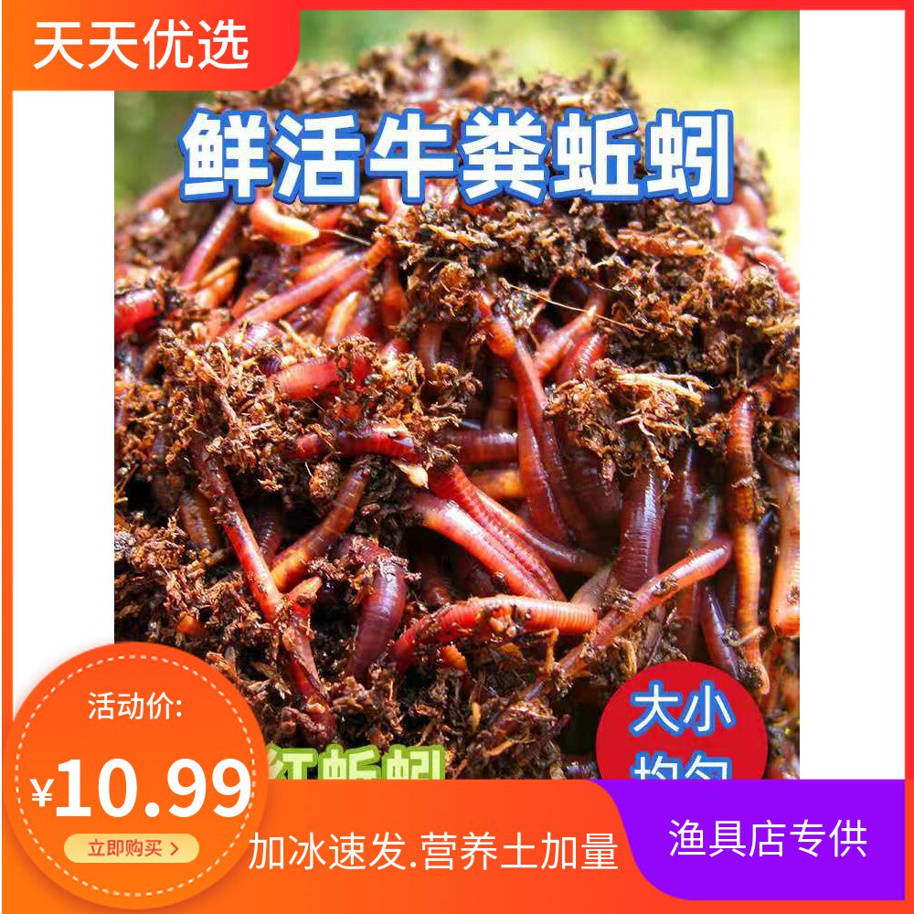 热销散装 鱼饵 红蚯蚓3斤 5斤鲜活活饵 种苗 放生 渔具店江浙沪皖